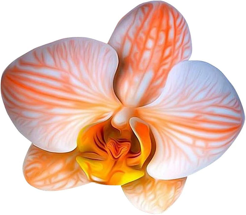 Orange White Orchid Flower Seeds – Garden Favorite Heirloom & NonGMO Seeds for Home Garden
Sale