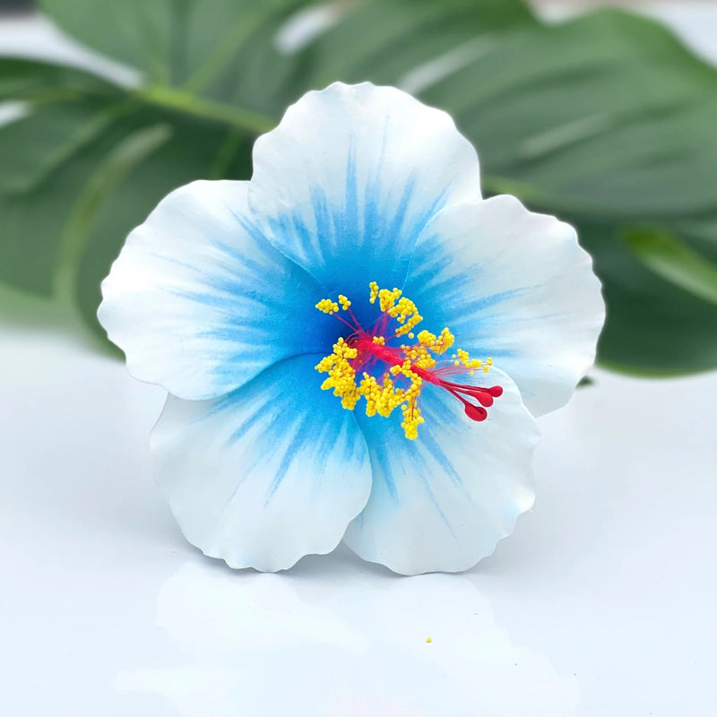Light Blue Hibiscus Flower Seeds – Low Maintenance Heirloom & NonGMO Seeds for Planting Home Garden
Sale