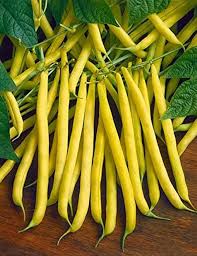 Heirloom Yellow Wax Bean Seeds for Planting Grow Delicious Beans