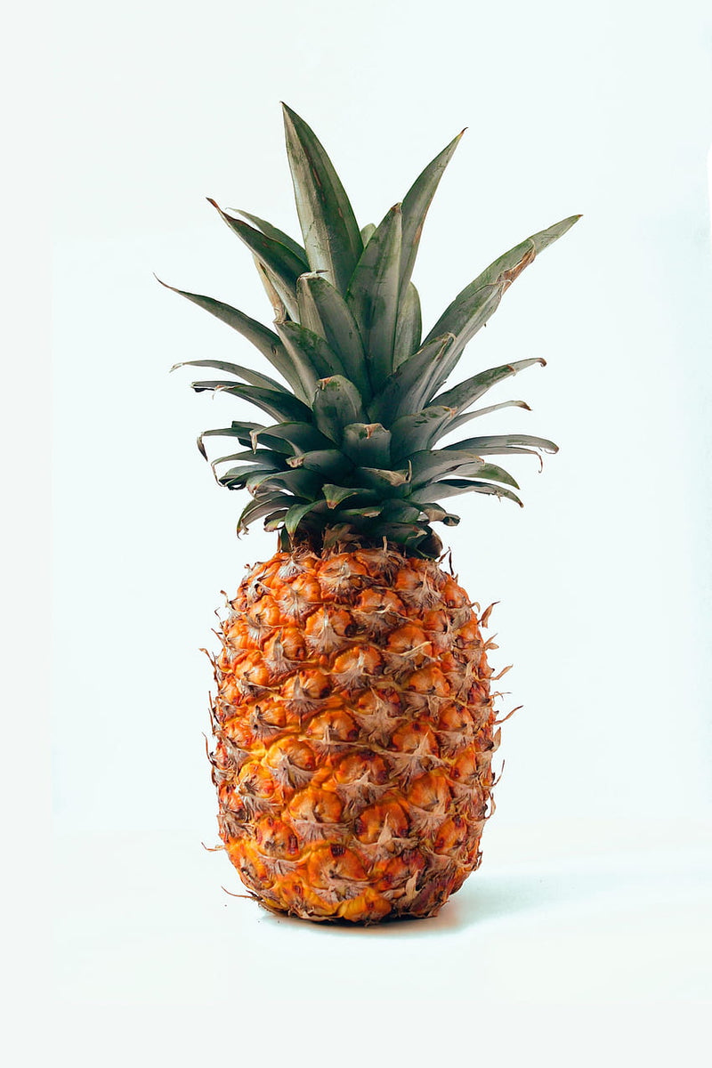 Pineapple seedlings growth and planting guide