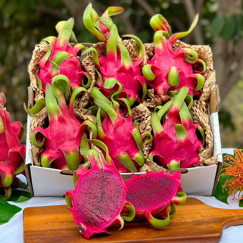 Pink Pitaya Seeds for Planting Grow Your Own Delicious Dragon Fruit