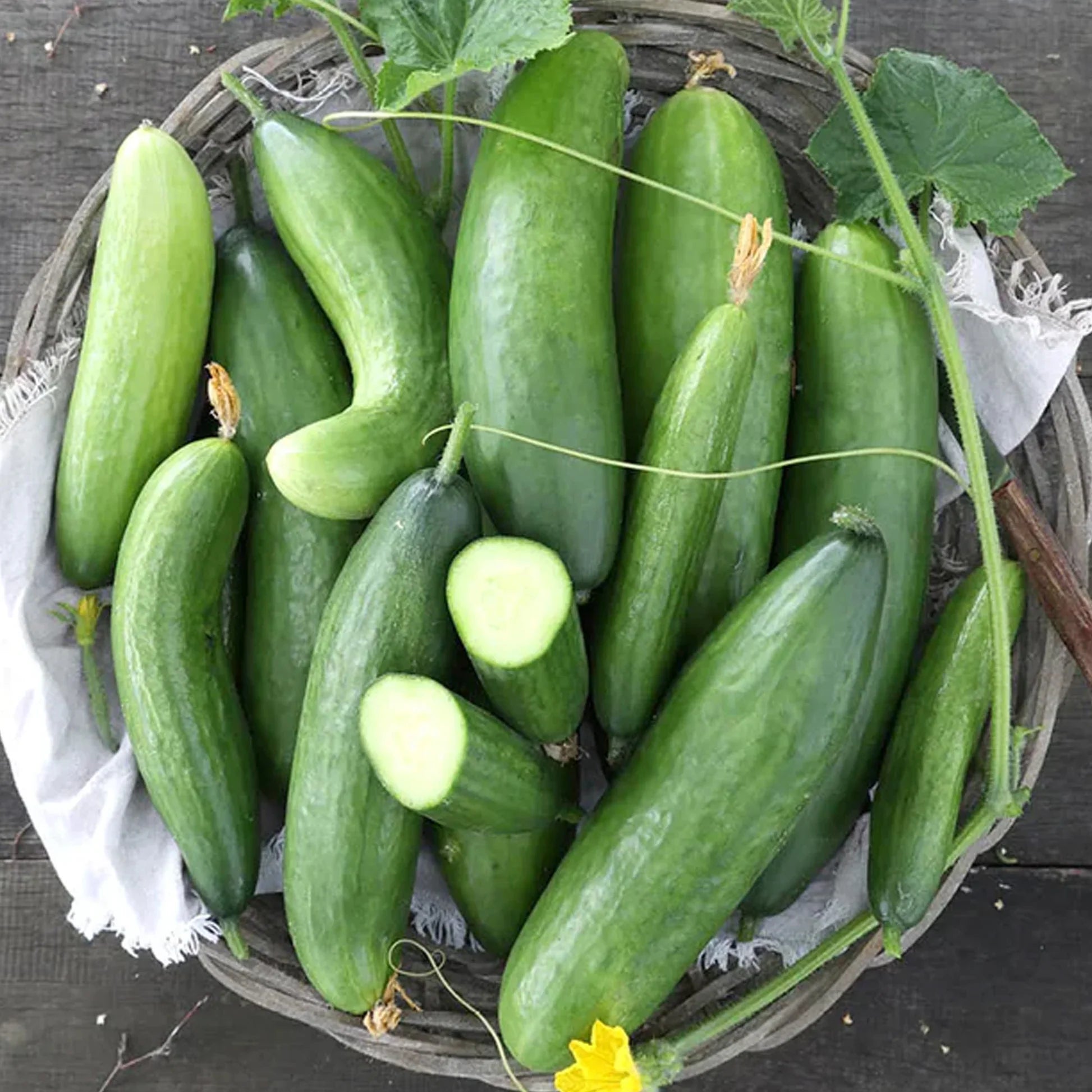 Diva Hybrid Cucumber Seeds Garden Vegetable for Home Planting