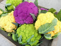 Mixed Color Cauliflower Vegetable Seeds for Home Garden Planting