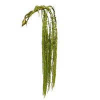 Neon green preserved amaranthus hanging stems for decorative displays