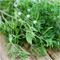 Satureia Hortensis Flower seeds for Planting - Compact Growth, Heirloom & GMO Free Seeds for Home Garden