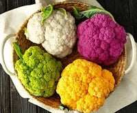 Cauliflower Cabbage Mix Seeds – Cool-Season Brassica Vegetables for Home Gardens