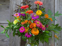 Complete Cut Flower Perennial Collection for Garden Beds, Borders & Outdoor Landscapes
