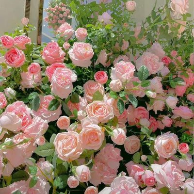 100 Pcs