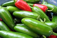 Jalapeno M Pepper seeds for fresh, spicy peppers