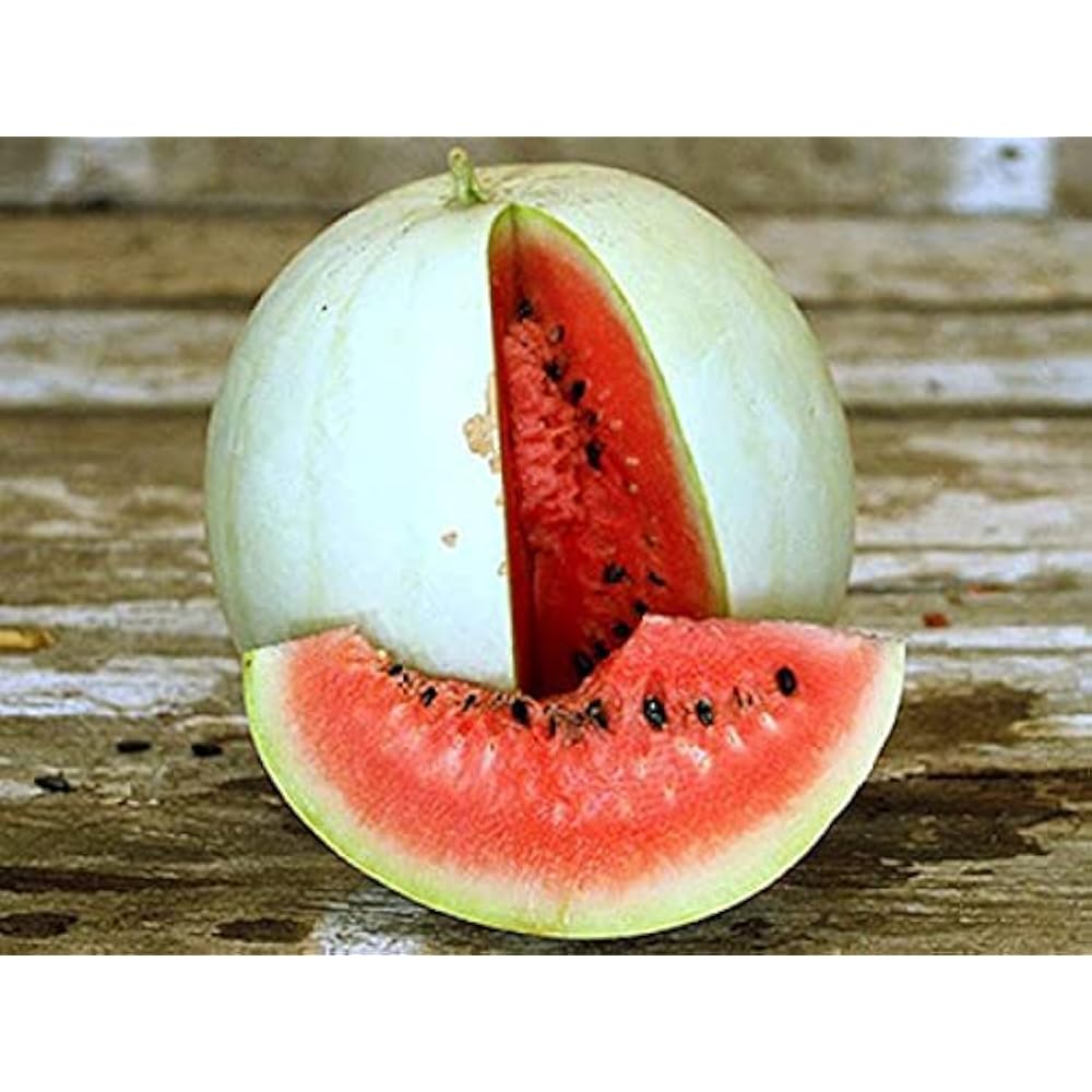 Snow White Giant Watermelon Seeds for Planting | Heirloom Garden Variety