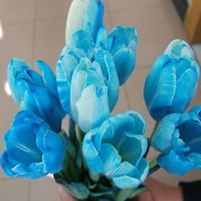 100 Pcs