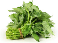 Kangkong water spinach plants growing in a home vegetable garden