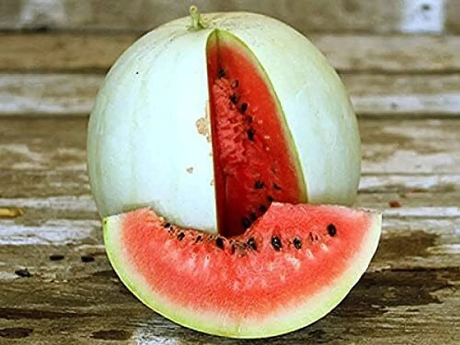 Snow White Watermelon Seeds – Unique White-Fleshed Watermelon for Garden Growing