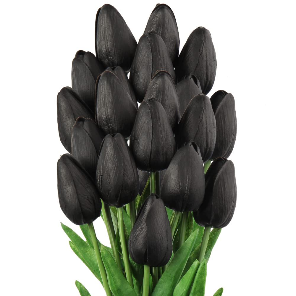 Black Tulip Flower seeds for Planting - Easy to Grow, Heirloom & GMO Free Seeds for Home Garden