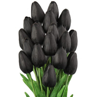 Black Tulip Flower seeds for Planting - Easy to Grow, Heirloom & GMO Free Seeds for Home Garden