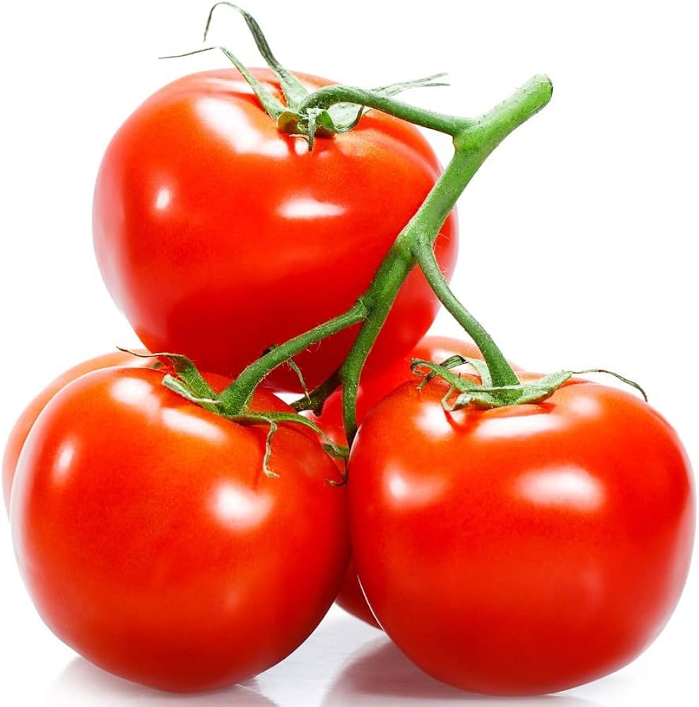Tomato Vegetable Seeds Solanum lycopersicum for Planting in Vegetable Patch