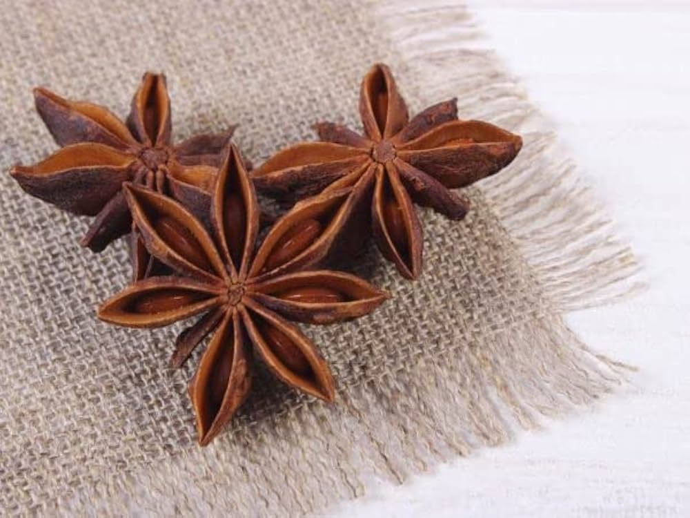 Anise Myrrhis Odorata for planting in herb garden
