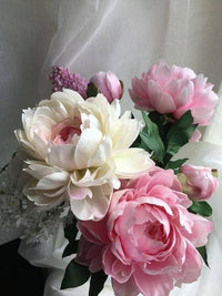 Stunning Peony Bulbs Mix – Elegant Colorful Garden Planting