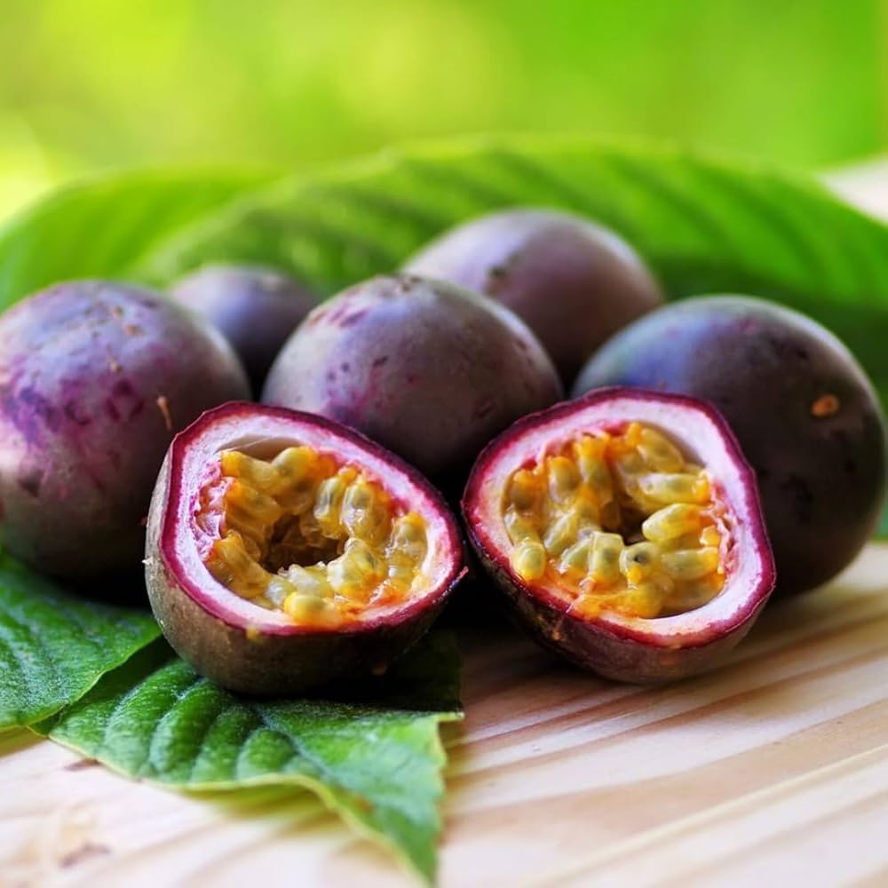 Plant Dark Purple Passion Fruit Seeds  Premium Seeds for Gardening