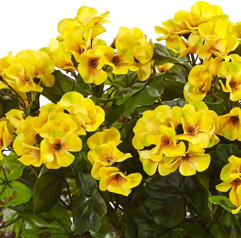 Yellow Geranium Flower seeds for Planting - Cut Flower Favorite, Heirloom & GMO Free Seeds for Home Garden