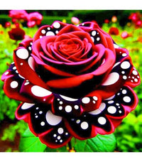 Golden Jade Carving rose growing in an outdoor garden