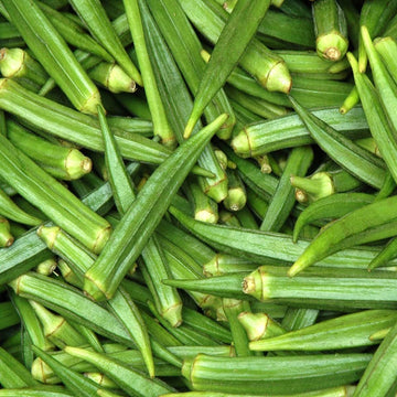 Okra Abelmoschus esculentus for planting in vegetable patch