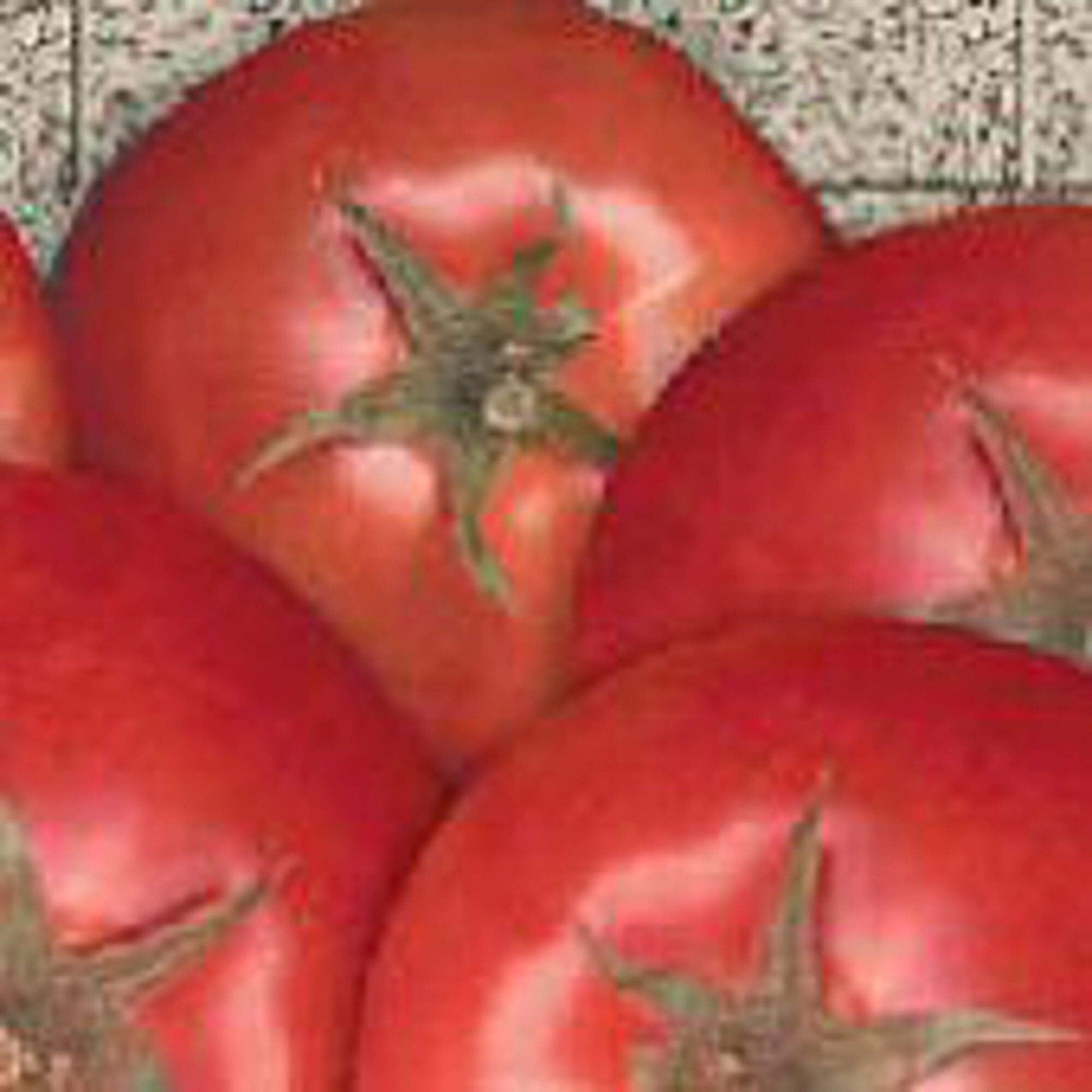 Bella Rosa Vffna Tomato Solanum lycopersicum Seeds for Planting in Vegetable Patch