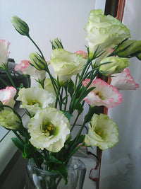 Yellow Lisianthus Flower seeds for Planting - Cottage Garden Essential, Heirloom & GMO Free Seeds for Home Garden
 
 Sale for planting in home garden.