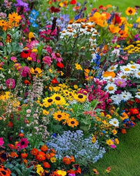Mixed Garden Seed Collection – 32 Heirloom & Non-GMO Seed Varieties for Planting
