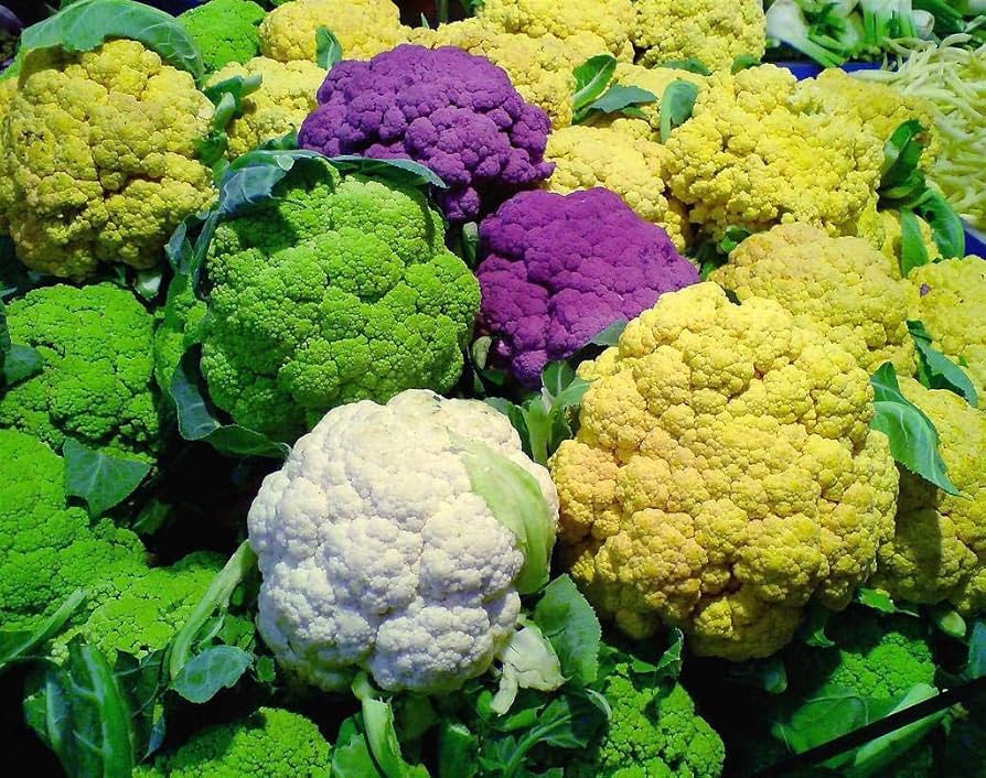 Heirloom Non-GMO Colorful Cauliflower Mix Brassica oleracea Seeds