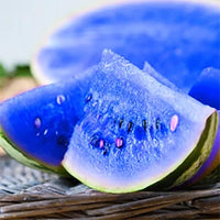 Blue Watermelon Seeds for Planting | Unique Watermelon Variety for Your Garden