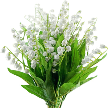 Maiglöckchen Flowers Indoor Rare Bell-Orchidee Seeds