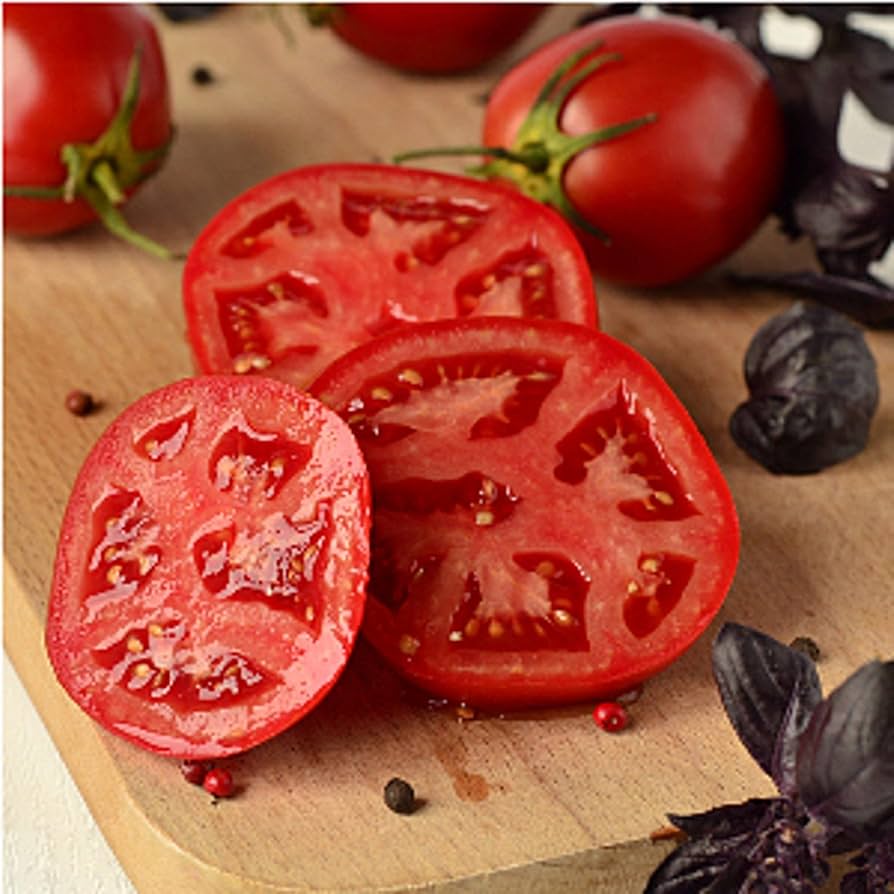 Better Bush VFN Tomato Solanum lycopersicum for planting in container garden