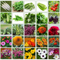 Mixed Garden Seed Collection – 32 Heirloom & Non-GMO Seed Varieties for Planting