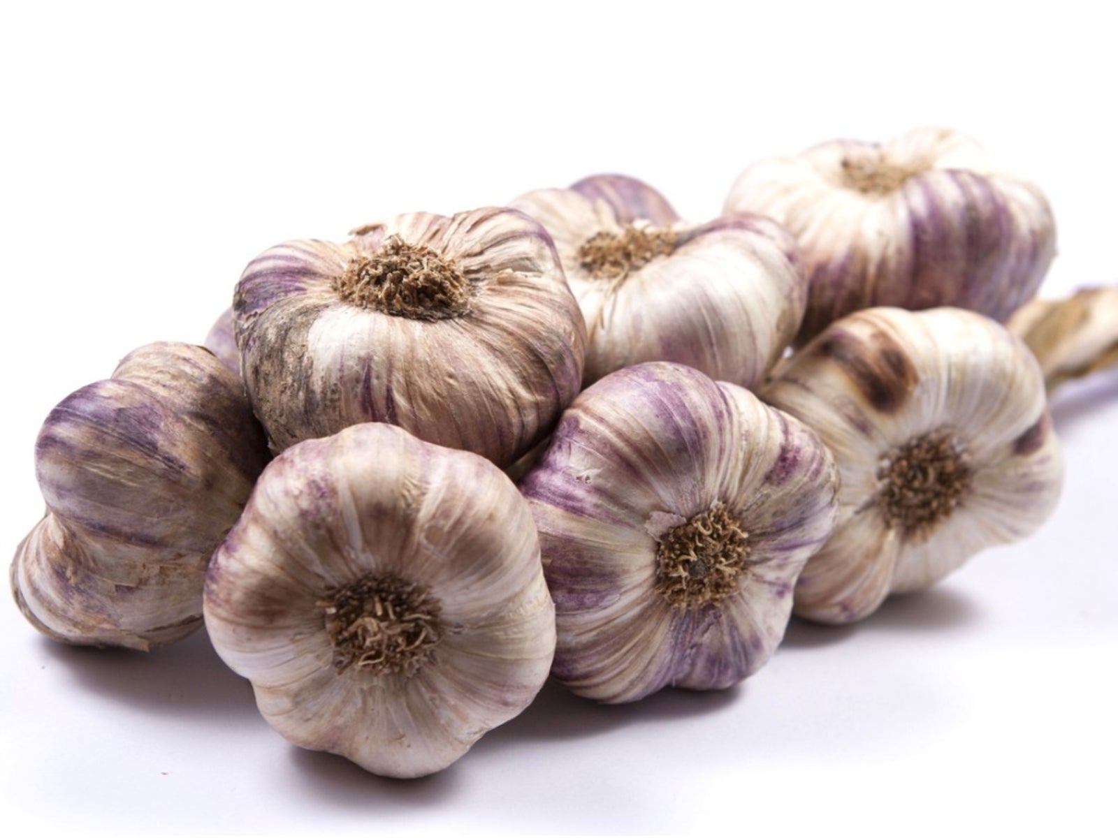 Garlic plants thriving in a sunny outdoor garden with lush green foliage.

