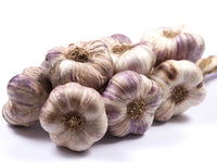 Garlic plants thriving in a sunny outdoor garden with lush green foliage.

