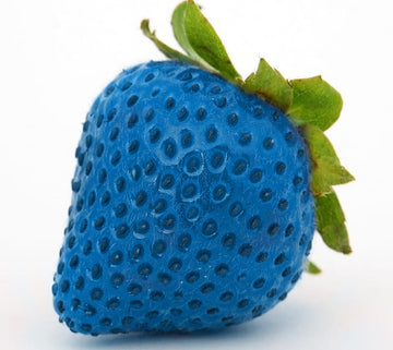 Blue Strawberry Fruit Seeds for Planting in Home Garden Pots and Containers