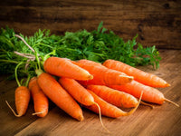 Carrot plants thriving in a home vegetable garden.

