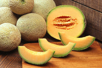 Cantaloupe Seeds for Planting: Cream Variety