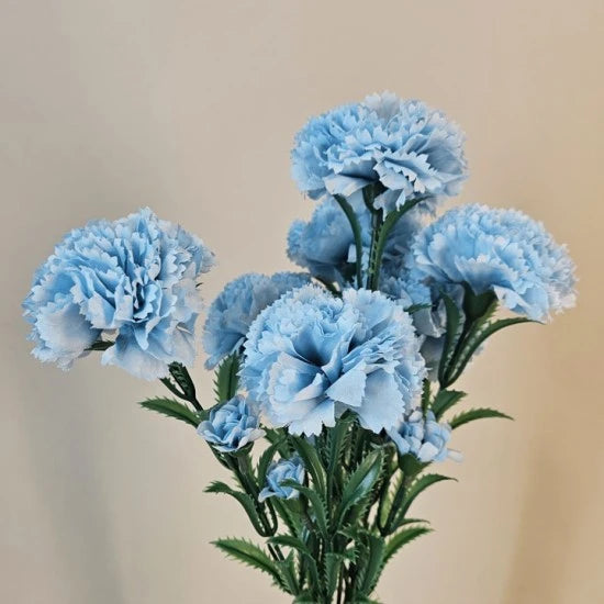 Sky Blue Carnation Flower seeds for Planting - Vibrant Colors, Heirloom & GMO Free Seeds for Home Garden