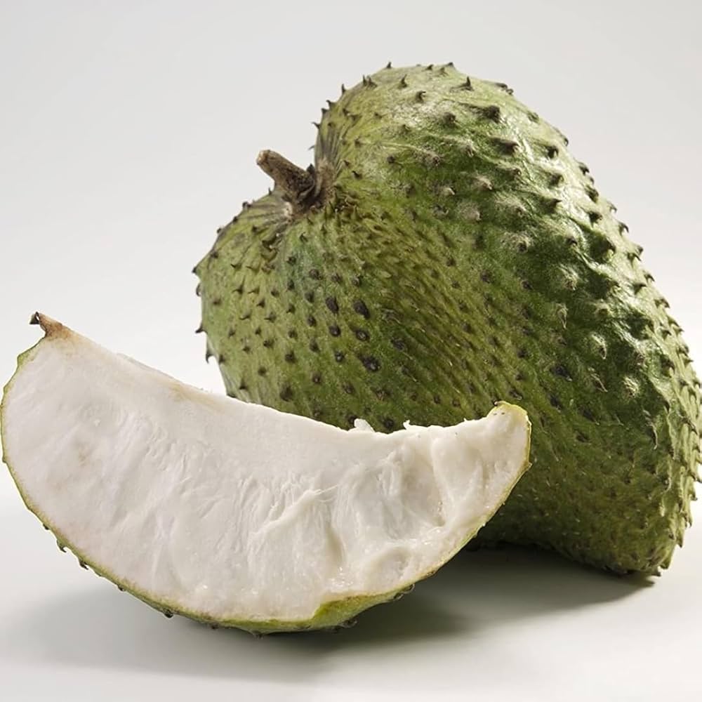 Giant Soursop (Annona muricata) fruit seeds for home garden planting.