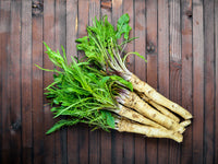 Horseradish Root Planting Pieces – Perennial Herb for Home Garden Growing
