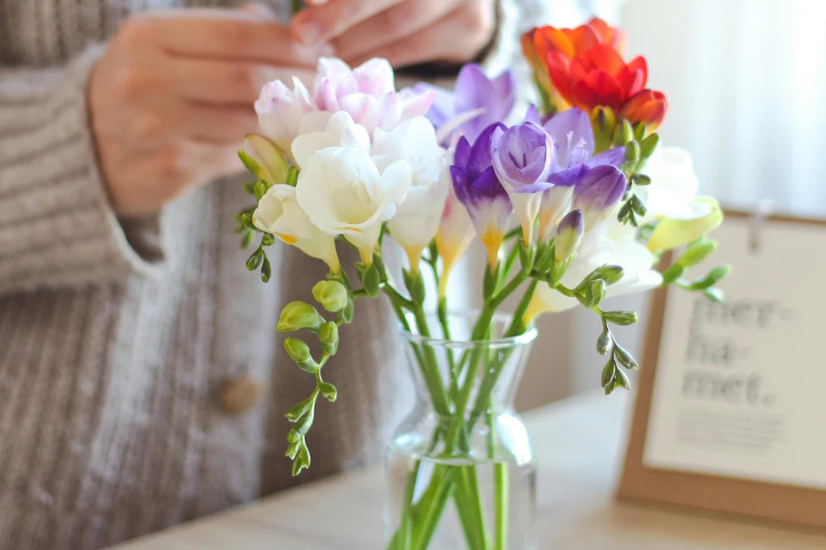 Freesia Flower seeds for Planting - Compact Growth, Heirloom & GMO Free Seeds for Home Garden