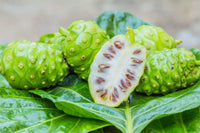 Green Noni fruits growing on a tropical tree with lush foliage.
