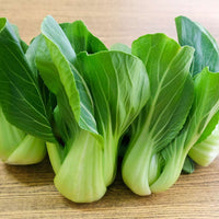 Bok Choy Seeds Heirloom Leafy Vegetable for Home Garden Planting