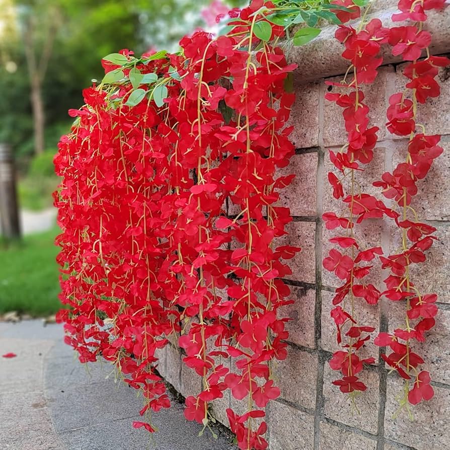 Red Wisteria climbing tree seeds for gardens