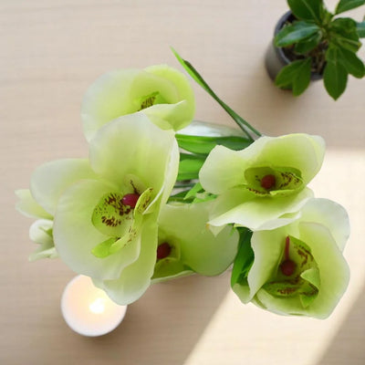 100 Pcs