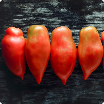 Opalka Tomato Seeds for Planting – Heirloom Non-GMO Polish Paste Tomato Vegetable Seeds
