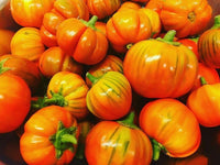 Turkish Orange Eggplant Seeds for Planting – Heirloom Non-GMO Orange Eggplant Vegetable Seeds