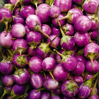 Dwarf Eggplant Seeds for Planting – Patio Container Eggplant Heirloom Non-GMO Vegetable Seeds